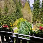 Апартаменты In Triberg Am Waldrand - Idyllisch, Ruhig, Erholsam Триберг