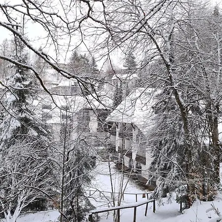 In Triberg Am Waldrand - Idyllisch, Ruhig, Erholsam * Triberg im Schwarzwald