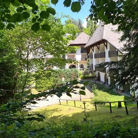 Appartamento In Triberg Am Waldrand - Idyllisch, Ruhig, Erholsam *