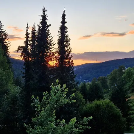 In Triberg Am Waldrand - Idyllisch, Ruhig, Erholsam *