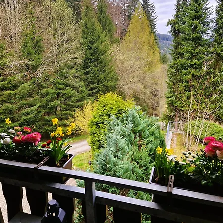 Appartamento In Triberg Am Waldrand - Idyllisch, Ruhig, Erholsam Triberg im Schwarzwald