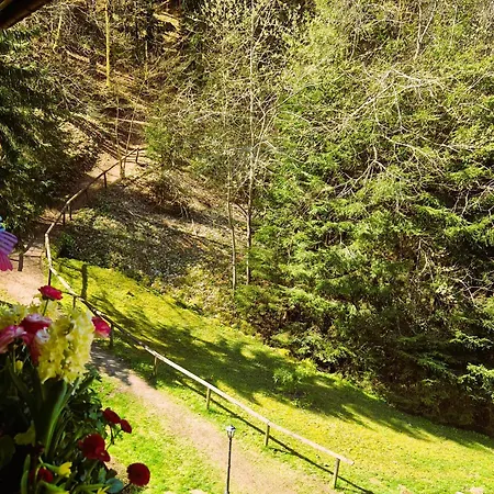 In Triberg Am Waldrand - Idyllisch, Ruhig, Erholsam Triberg im Schwarzwald