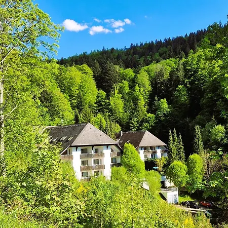 In Triberg Am Waldrand - Idyllisch, Ruhig, Erholsam Апартаменты