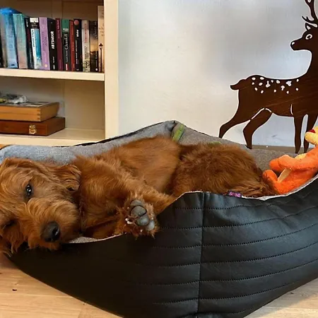 Διαμέρισμα In Triberg Am Waldrand - Idyllisch, Ruhig, Erholsam Triberg im Schwarzwald