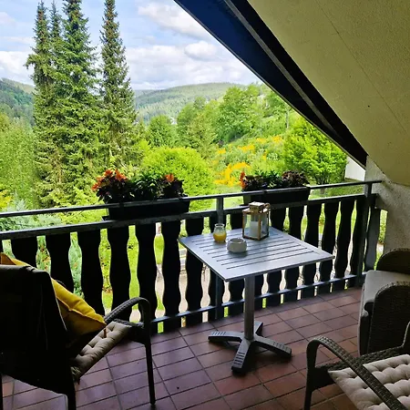 In Triberg Am Waldrand - Idyllisch, Ruhig, Erholsam Lejlighed